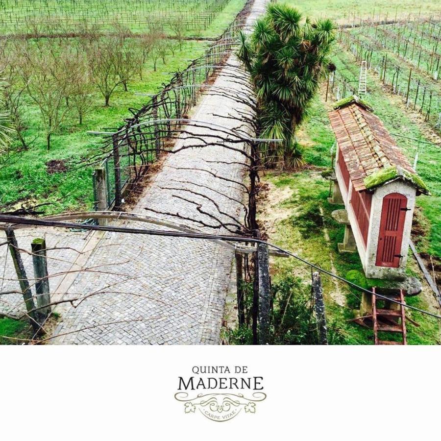 Вилла Quinta De Maderne Фелгейраш Экстерьер фото